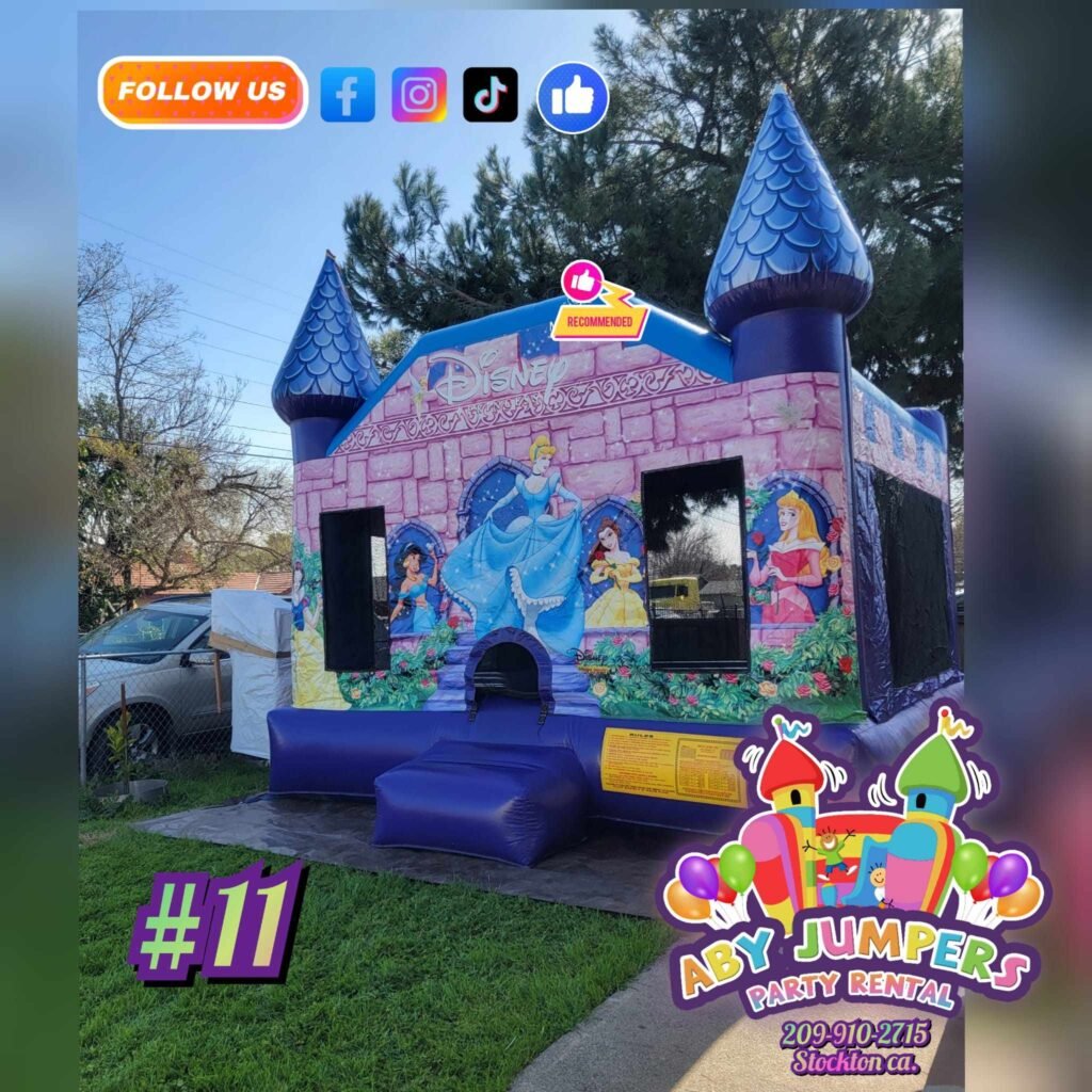 Purple castle – Aby Jumpers Stockton